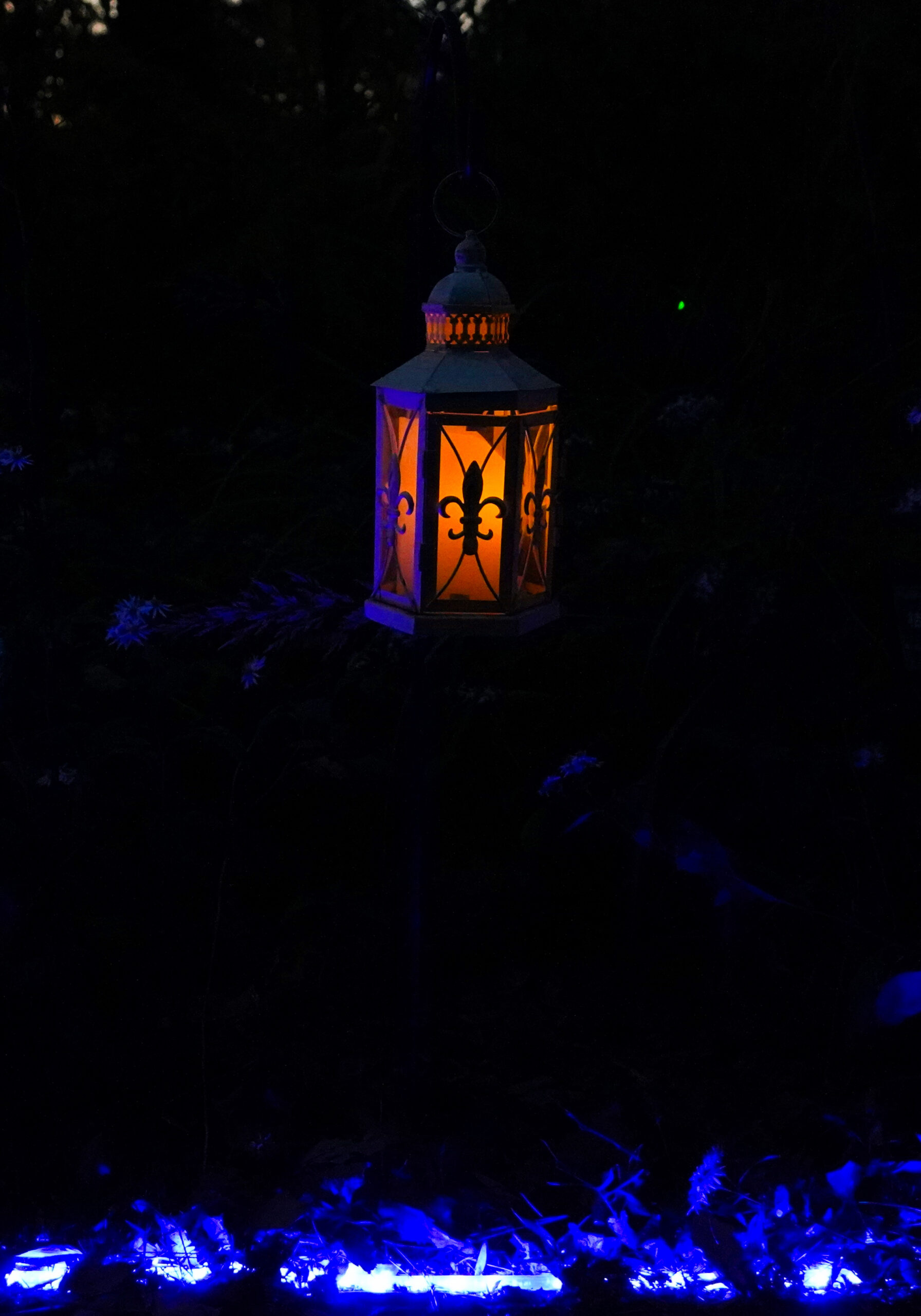 森林公園　ライトアップ　灯籠　暮らし環境